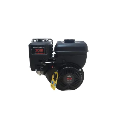 BRIGGS & STRATTON 5.0 HP